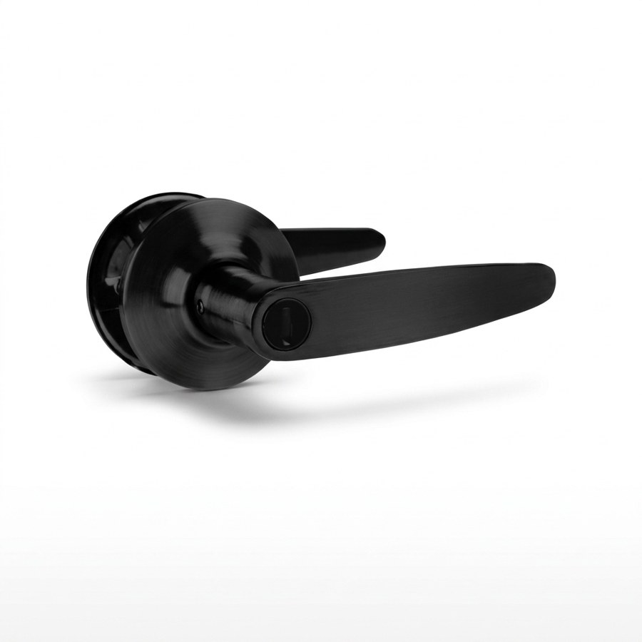 Dover Entry Door Lock โ Black