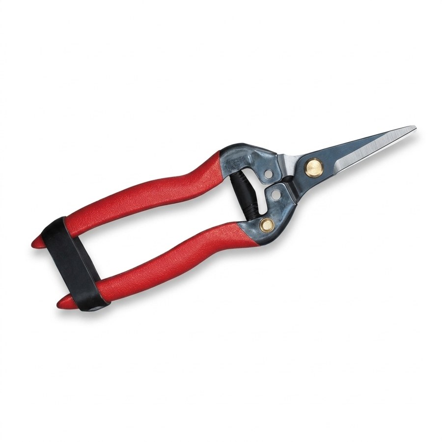 Pruner — Fruit pruner