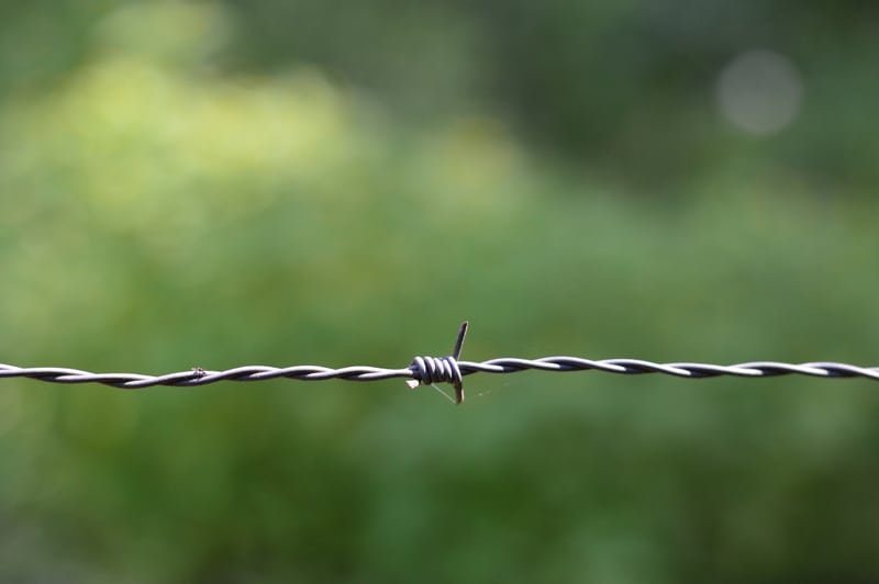 Barbed Wire