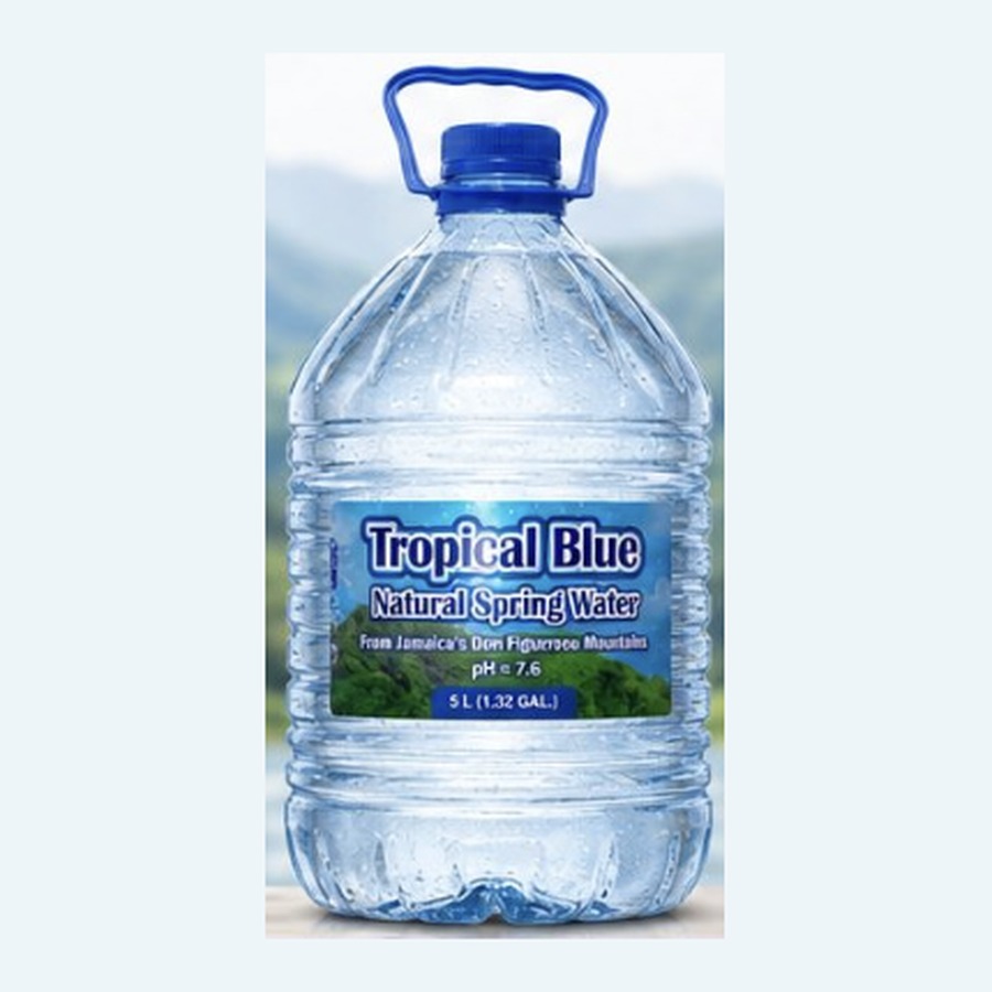 Tropical Blue Spring Water 5L โ Case of 4
